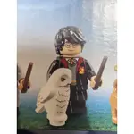 LEGO 樂高 人偶 哈利波特 哈利波特一代人偶包 71022