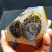 HOT541.3g Natural Polished Aquatic Plants Agate Crystal Madagascar 53A49+
