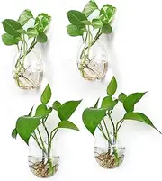 4PCS Wall Hanging Propagation Glass Plant Terrarium Container Egg Shape Perfect for Propagating Hydroponic Plants Home Office Garden Decor Wedding