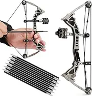 ZSHJGJR 9.5" Compound Bow and Arrows Set for Target Shooting Hunting Games Pocket Bow Survival Bow RH/LH Archery Gift