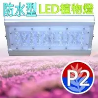 在飛比找PChome商店街優惠-[訂製品] VITALUX新防水型LED植物燈(P2光譜)寬