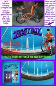 Valve Stem Covers/Caps-Schwinn/Mongoose/Huffy/Diamondback/Specialized/all others