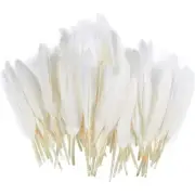 100 Piece Goose Feathers, Natural Feathers for DIY Crafts, DIY, Wedding & Party