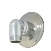 Flexispray 90 Deg Chrome Wall Elbow And Plate