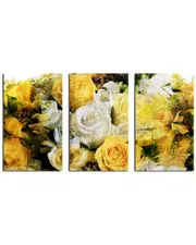 Ready2HangArt Abstract Rose Study 3pc Wrapped Canvas Wall Art by Tristan Scott