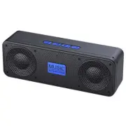 Portable FM Radio Bluetooth 5.0 Speaker MP3 Music Player Support TF5798