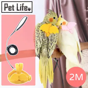 Pet Life 鳥用玄鳳鸚鵡飛行背帶牽繩組/輕量放飛牽引繩