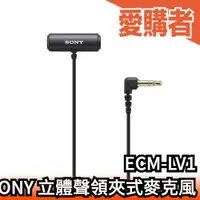 在飛比找露天拍賣優惠-日本 SONY 立體聲 領夾式麥克風 ECM-LV1 小蜜蜂