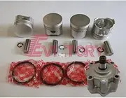 for KUBOTA V1702 Rebuild Overhaul kit Piston + Ring Set + Oil Pump