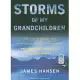 Storms of My Grandchildren: The Truth About the Coming Climate Catastrophe and Our Last Chance to Save Humanity