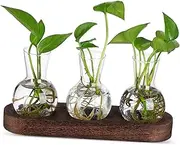 GALPADA 1 Set Desktop Glass Planter with Base Hydroponic Plant Propagation Station Clear Vases for Easy Maintenance and Decor for Indoor Plant Lovers