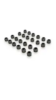 Valve Steam Seal Kit for Volvo D11 Engine 20864662 (for: Volvo)