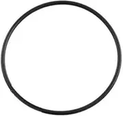Genuine Astral Hurlcon ZX Filter Cartridge Lid O Ring oring Pool