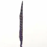 30" to 32" Reeves Pheasant Tail Feather - Purple