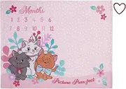 Disney Aristocats Pink Picture Purr-FECT Super Soft Photo Op Milestone Baby Blanket