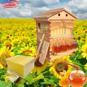 Automatic Bee Hive Auto Beehive Honey House Boxes with 7 Beekeeping Frames Comb