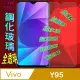 VIVO Y95 (全透明) 鋼化玻璃膜螢幕保護貼