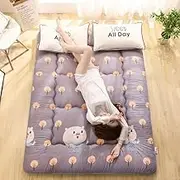 Japanese Floor futon Mattress, Soft and Breathable, Portable roll-up Mattress, Foldable, Full Size, Suitable for Home use, Dormitory, Camping.(02,120 * 200CM)