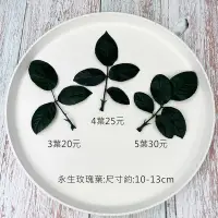 在飛比找松果購物優惠-進口永生玫瑰葉-乾燥花圈 乾燥花束 不凋花配草 拍照道具 室