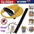 Mouse Trap - Flip N Slide Bucket Lid Mouse Rat Trap W/Ladder Mouse trap Catcher*