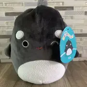 NEW Squishmallows Kai Orca Whale 8" Soft Plush AUTHENTIC Kellytoy gift toy