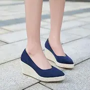 [HOTRA] Womens Espadrilles Wedges Pumps Close Pointed Toe Slip On Loafers Casual Sandals Platform Dress Shoes (Color : Blue, Size : 4.5)