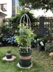 1.5/1.9m Black/White/Green Garden Metal Trellis Climbing Plant Support Frame