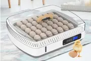 35 Eggs Incubator Fully Automatic Poultry Egg Hatcher Auto Turning LCD Display