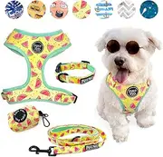 4-Piece Walkies Bundle [Pipco Pets] - Adjustable Dog Harness + Collar + Lead + Poo Bag Dispenser | Cute Colourful Patterns | Perfect Fit, Escape Proof Vest | Safe and Secure | (XS, Summer Melons)