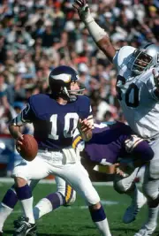 Fran Tarkenton Minnesota Vikings drops back to pass pressured by O- Old Photo 1