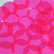 Round Ruffle Edge Vinyl Shape 1.5" Hot Pink Go Go Fluorescent Edge Glow