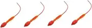 Gatuida 4pcs Transfer Pipettes Lab Pipette Filler Ball Quantitative Easy to Equipment