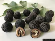 Andean Walnut, Juglans neotropica