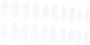 minkissy Create Your Own Nail Art Pcs Oval False Nails Full Coverage Tips Sturdy Non-toxic for Diy