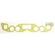 Platinum Extractor Gasket - HSM105