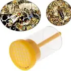 1PC Beekeeping Useful Queen Bee Marker Marking Cage Boxes Plastic Yellow Bott.YU