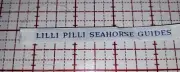 Lilli Pilli Seahorse Guide Girl Guide Name Tape Badge