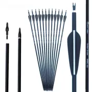 28/30/3Inches Carbon Arrows Archery Hunting Spine 500 With Replaceable Arrowhead