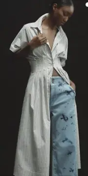 Anthropologie Exquise Tobie Button-Front Pleated Midi Shirt Dress Size L