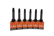 Pack of 6 - SWAN Ignition Coil for Mitsubishi Challenger & Outlander (3.0L)