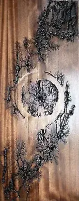 'Black Hole' - High Voltage Fractal Burning - 1000mm X 400mm Artwork
