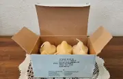 PartyLite Rice Milk & Honey Box of 6 Votive Candles V06422 NEW in Orig Box.