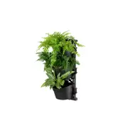 Maze Three Tier Vertical Garden (6 pots)