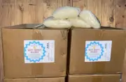 Bulk White Beeswax Pellets For Candle Making, Candle, Soap, Lotion 100% Organic