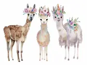 Three Llama kids nursery wall art canvas print
