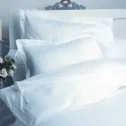 King White Striped 4 Piece Bed Sheet Set 1000 Thread Count 100% Egyptian Cotton