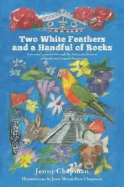 Two White Feathers and a Handful of Rocks: A woman's journey through the feminin