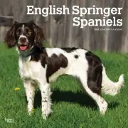 BrownTrout, English Springer Spaniels 2025 Wall Calendar