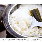 Iga Donabe Iga Glaze Large (3-5 people) (Haseen Donabe Pot Cooking From Japan