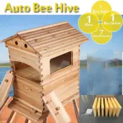Fir Wood Bee Hives + 7pcs Auto Beekeeping Frames Bee Hive Boxes Bee Hive House